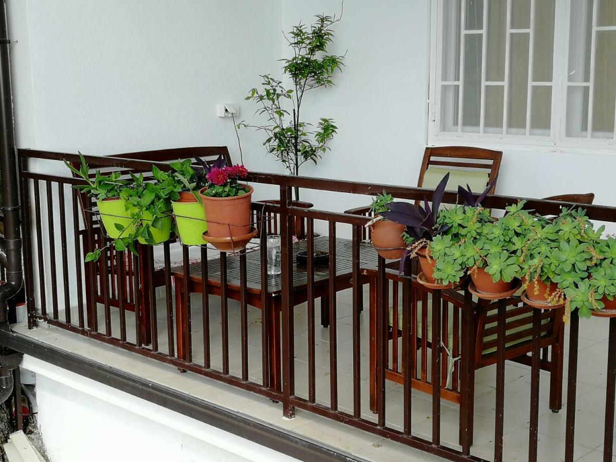 Villa Marko ซูโตมอเร ภายนอก รูปภาพ